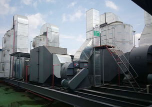 专业设备高效分解有机废气，环保机械助力木工喷漆行业提升生产效率